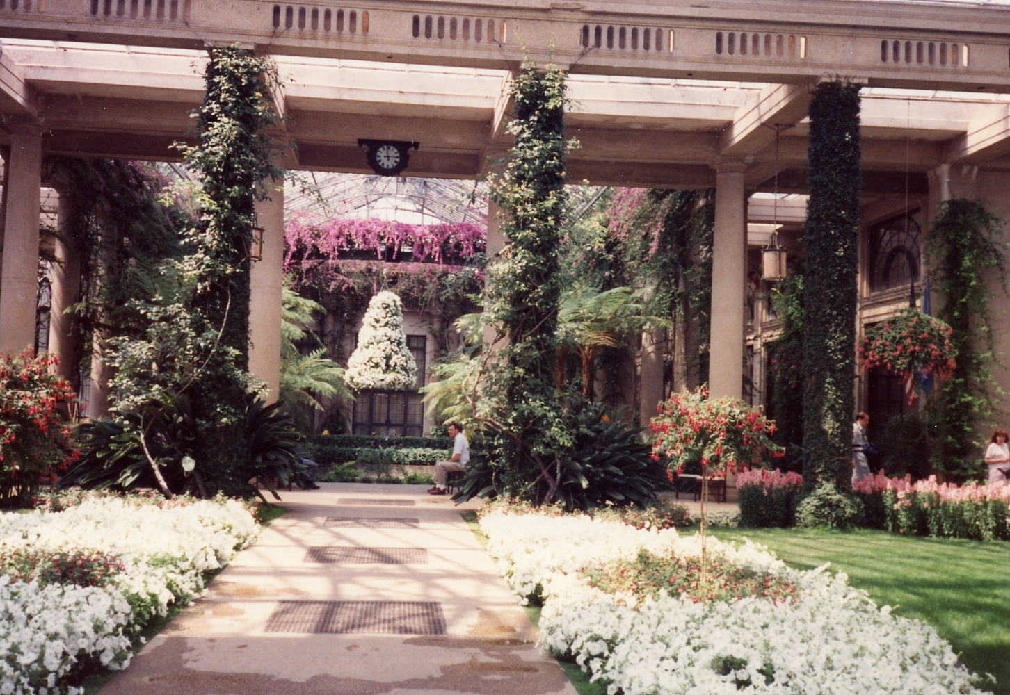 Image 100